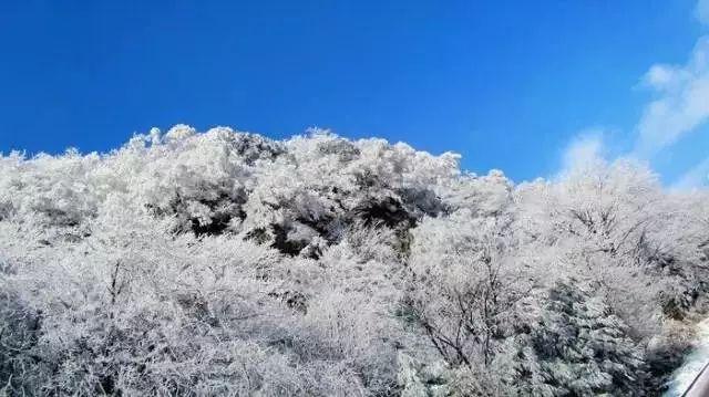 15世纪的一张古地图,至今让欧美历史学家十分困惑